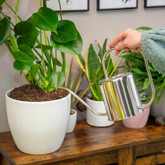 Watering Cans