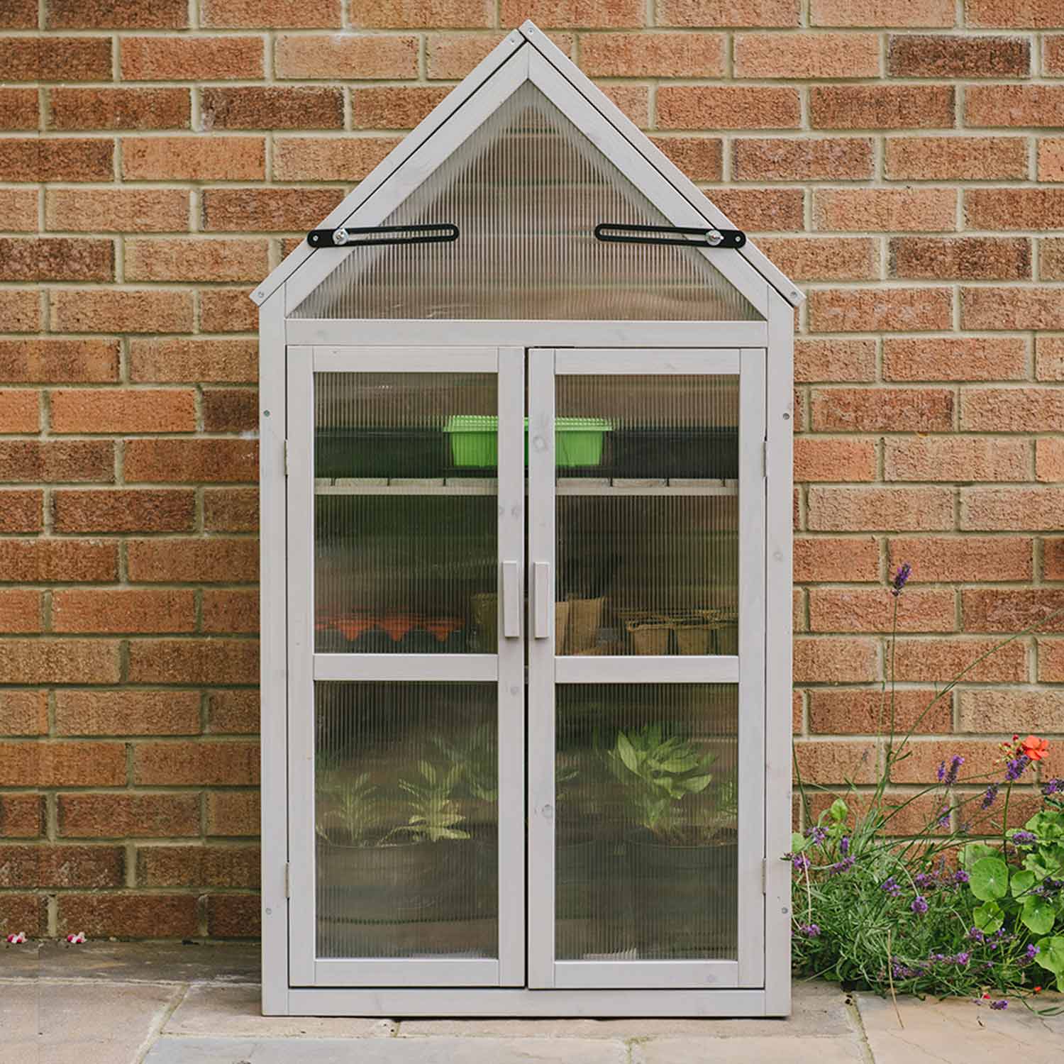 Growhouse Offer