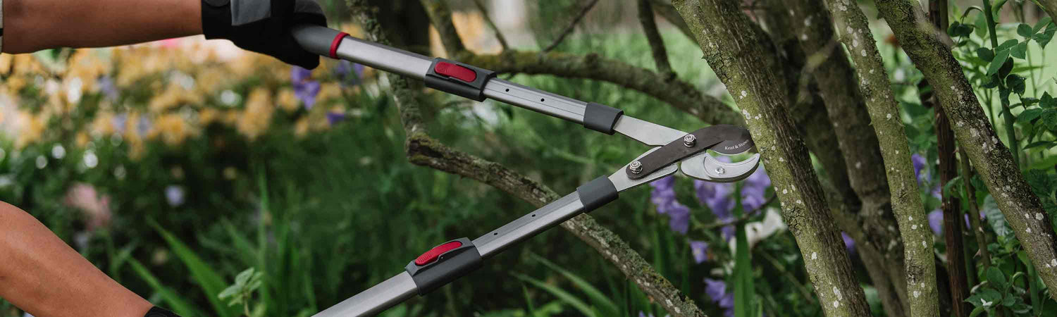 Chelsea Chop Cutting Tools