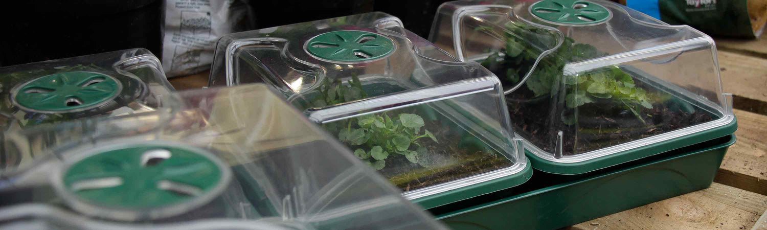 Top Propagator Picks