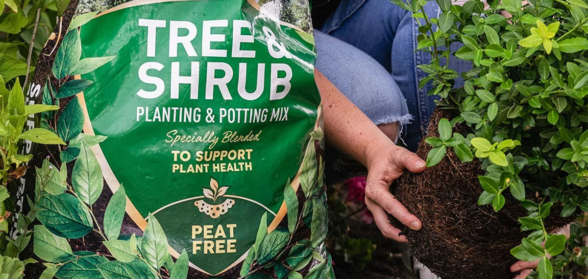 Tree Composting Shrubs & Trees Compost | Buy Shrubs & Trees Compost Online | Shrubs ...