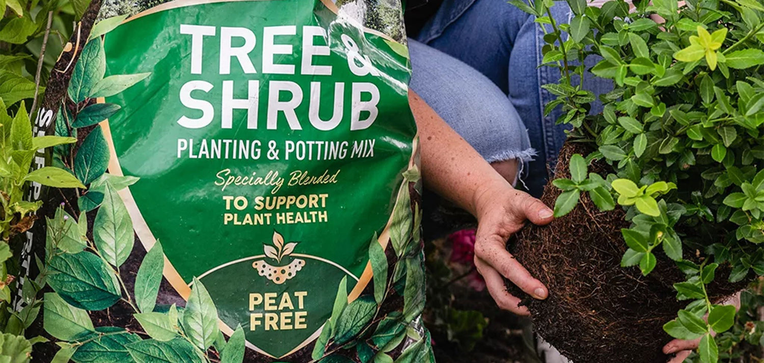Shrubs & Trees Compost