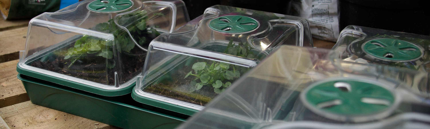 Heated Propagators