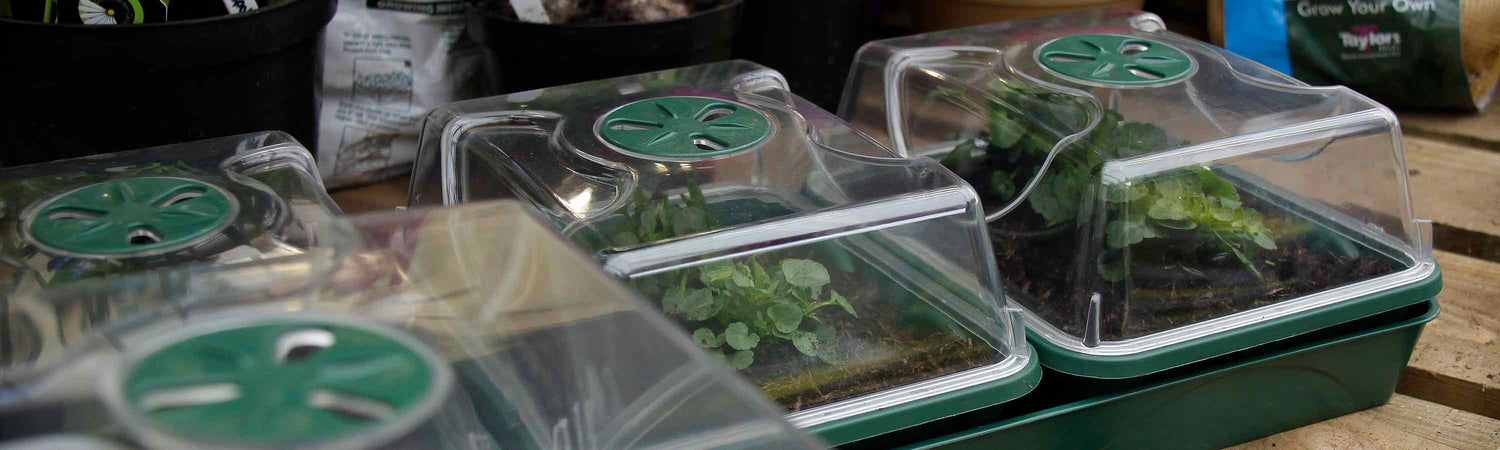 Black Friday Propagators & Supports