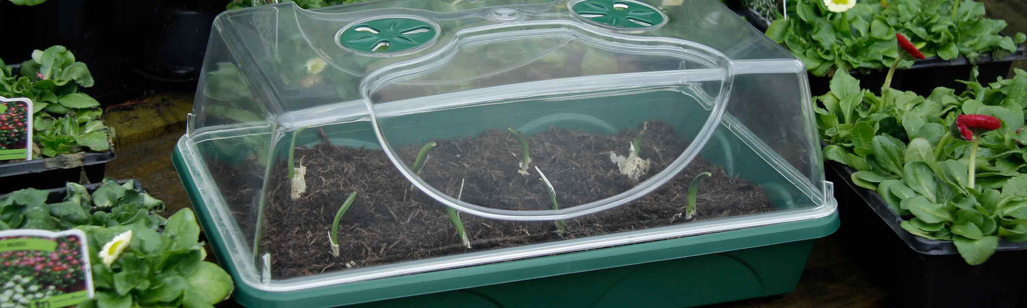 Unheated Propagators