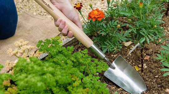 Long Handled Tools