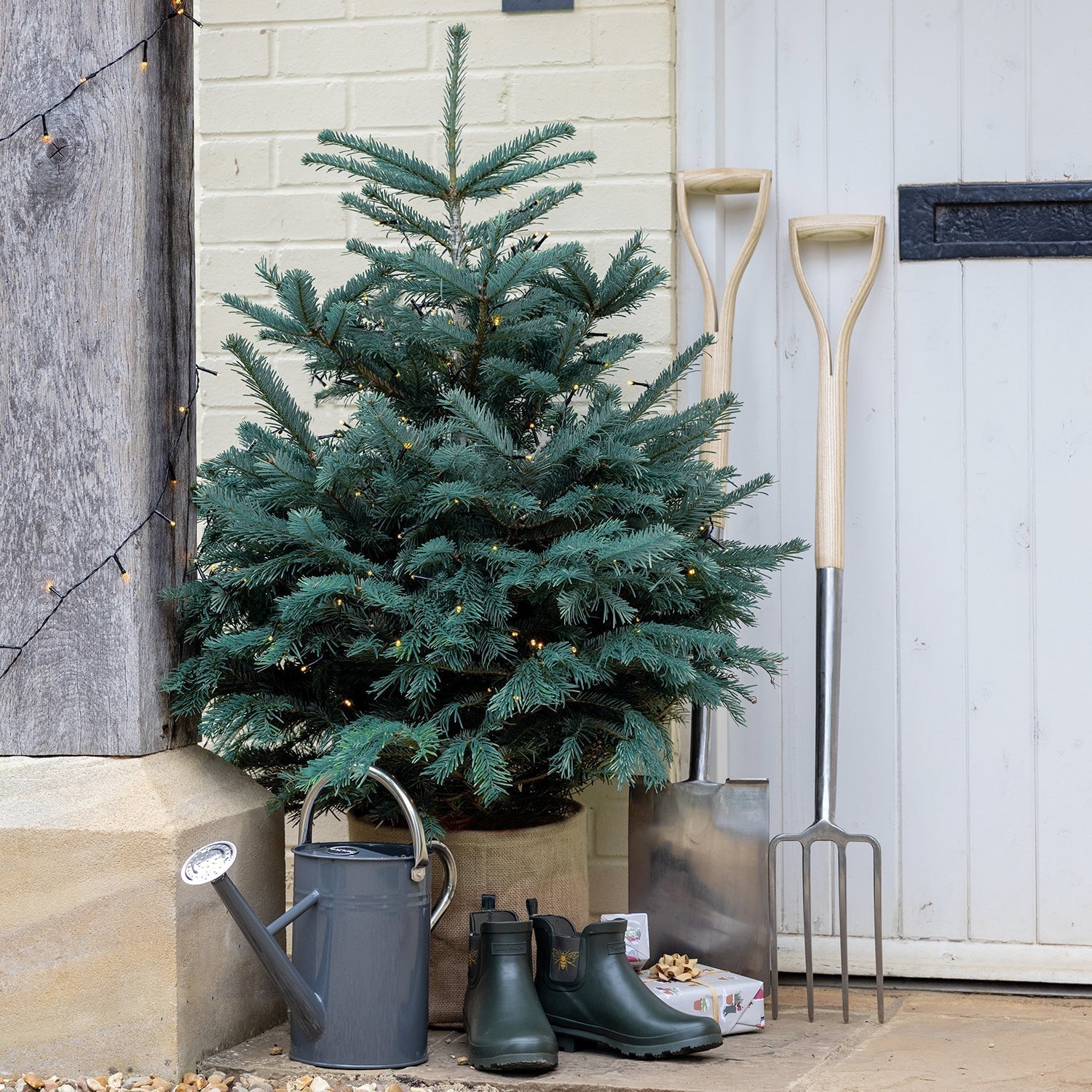 Christmas Trees & Wreaths