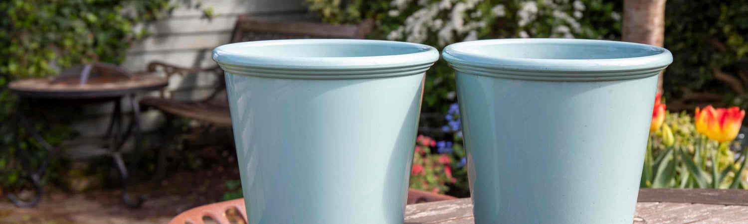 Spring Bulbs Offer