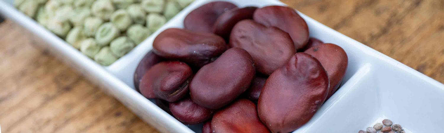 Seed Sale