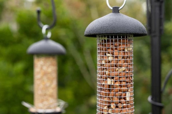 Peanut Feeders