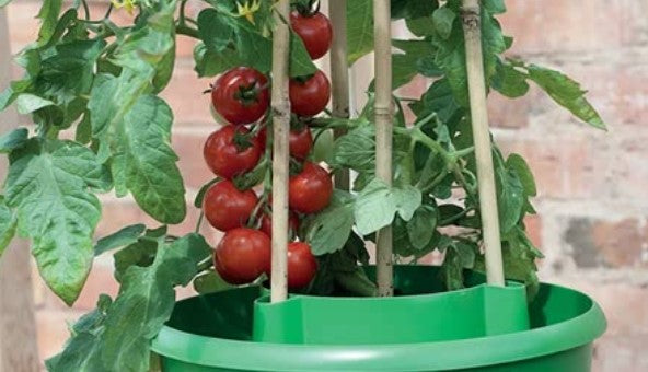 Fruit Growing Accessories