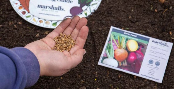 Vegetable Growing Accessories