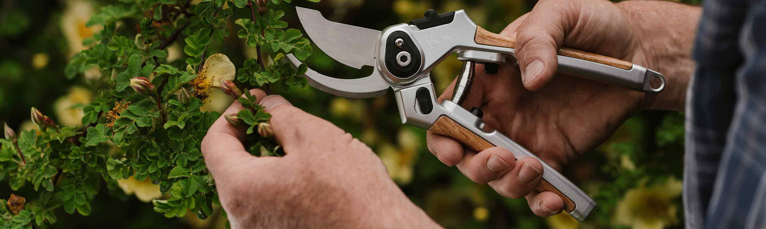 Secateurs & Snips