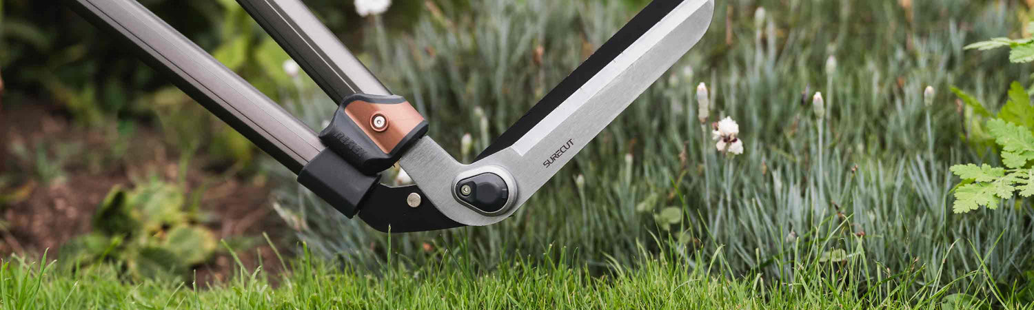Lawn Edging