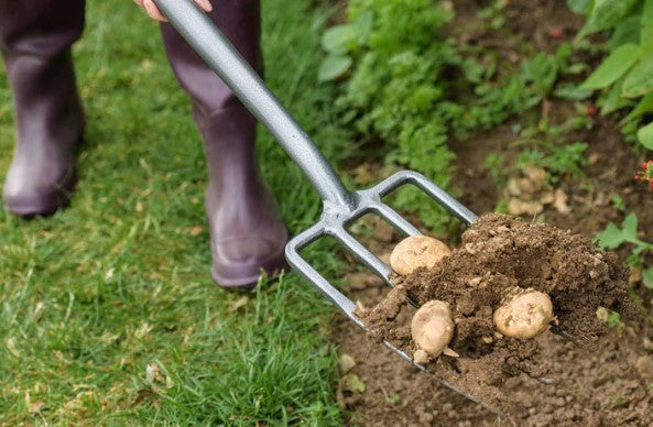 Forks, Hoes & Cultivators