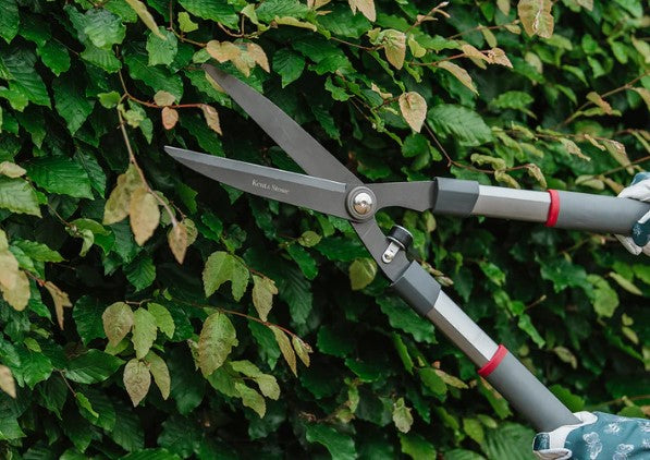 Hedge Shears