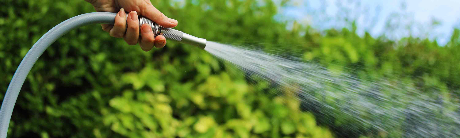 Watering Sale