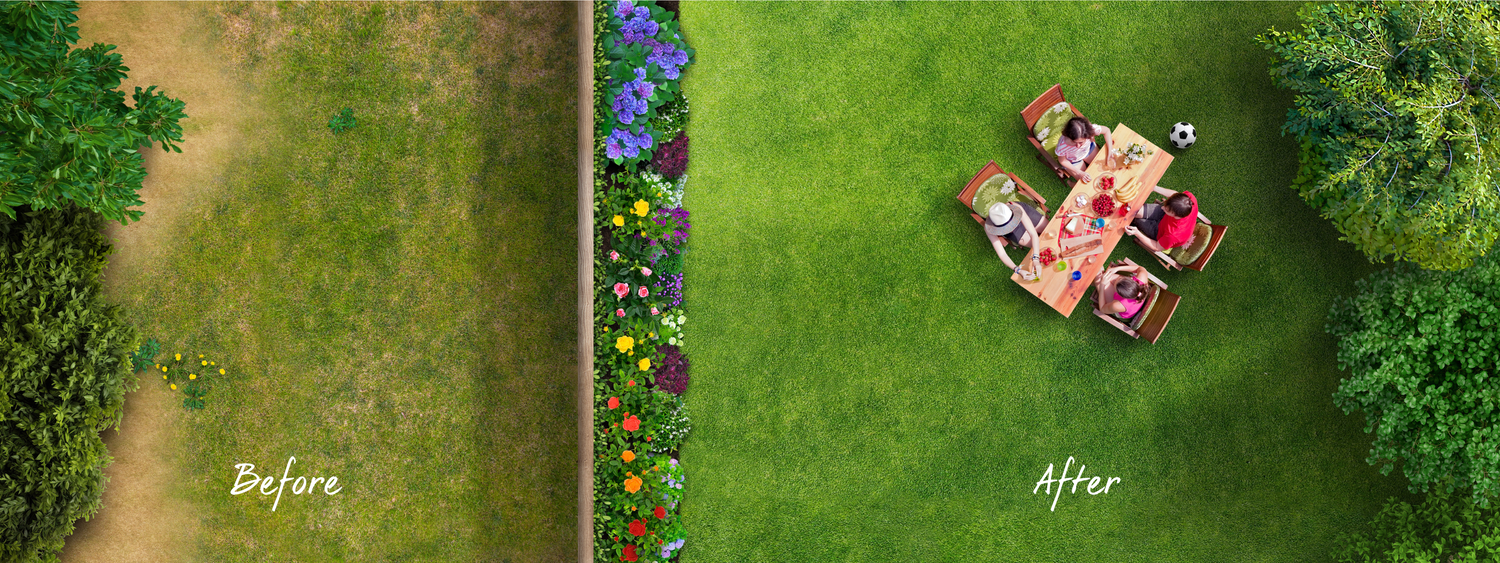 Lawn Rescue