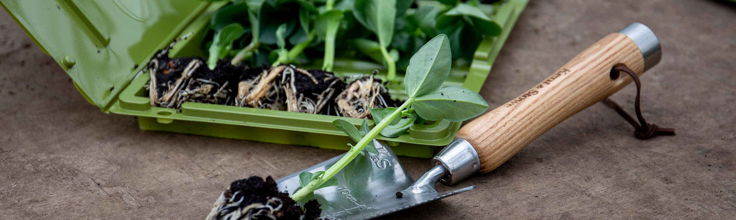 July Vegetable Despatch