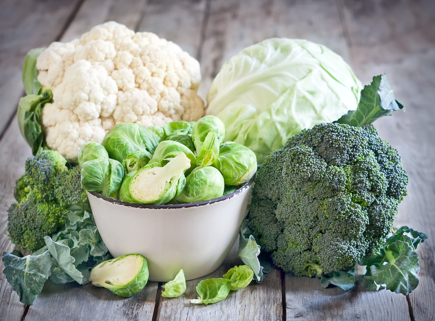 Brassica Plants