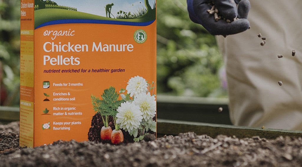 Chicken Manure Pellets