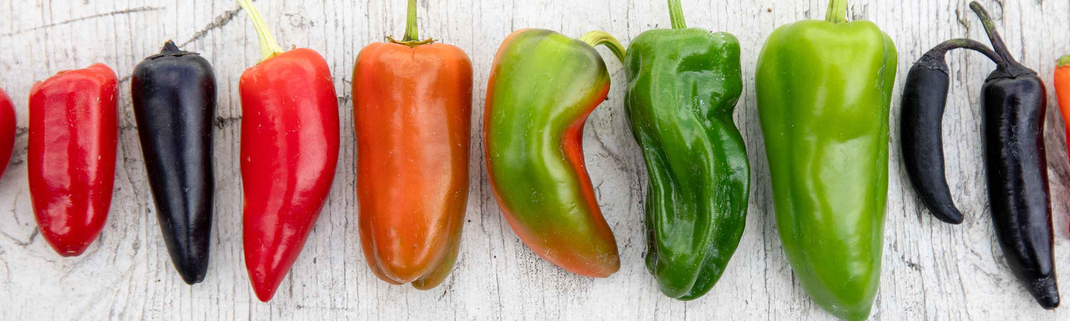 June Vegetable Despatch