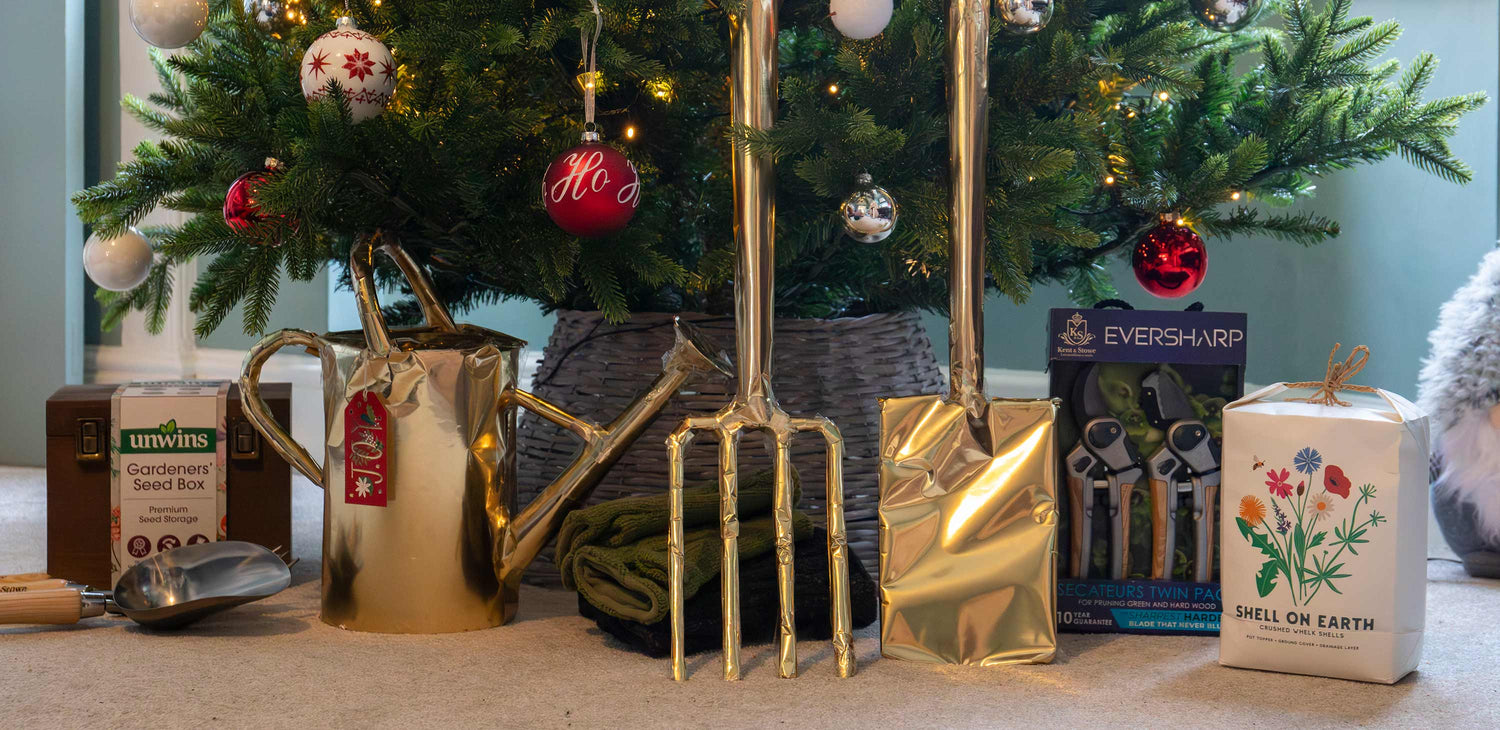 Christmas Clearance