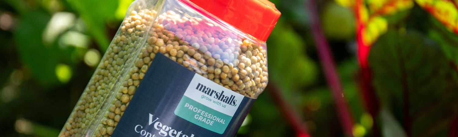 Granular Feeds