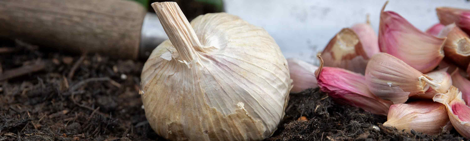 Gardeners World GWE101