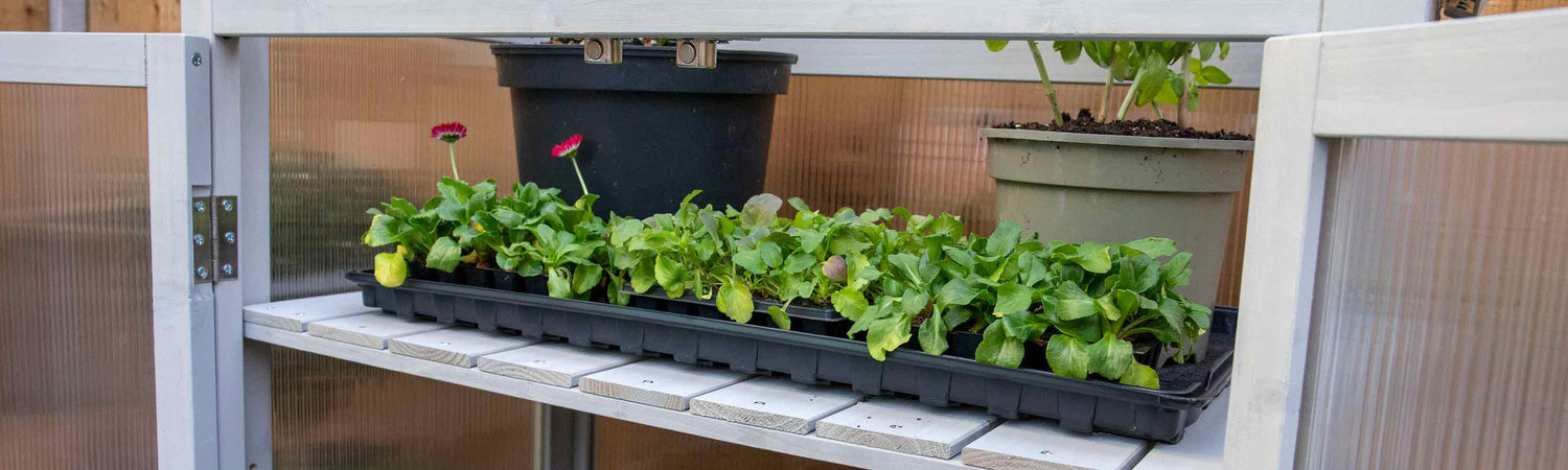 Black Friday Growhouses & Tunnels