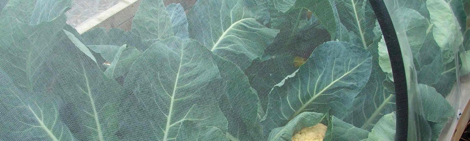 Insect & Bird Netting