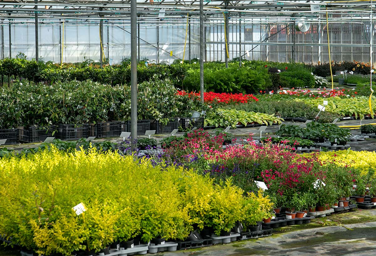 Last Chance To Plant