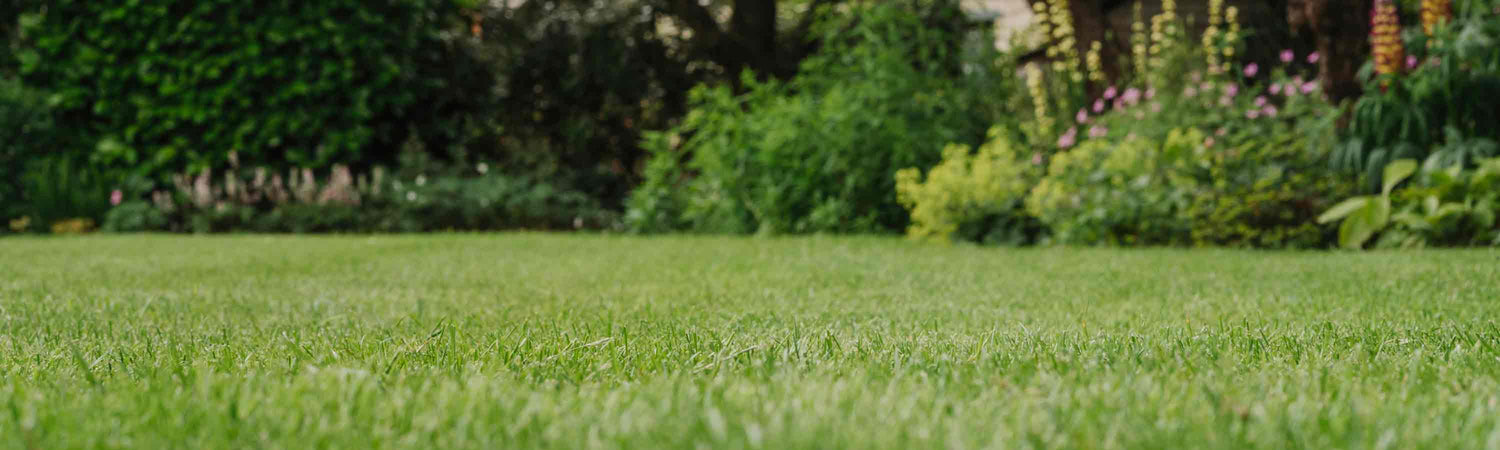 Maintain your Lawn