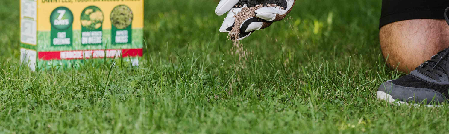 Enhance your Lawn