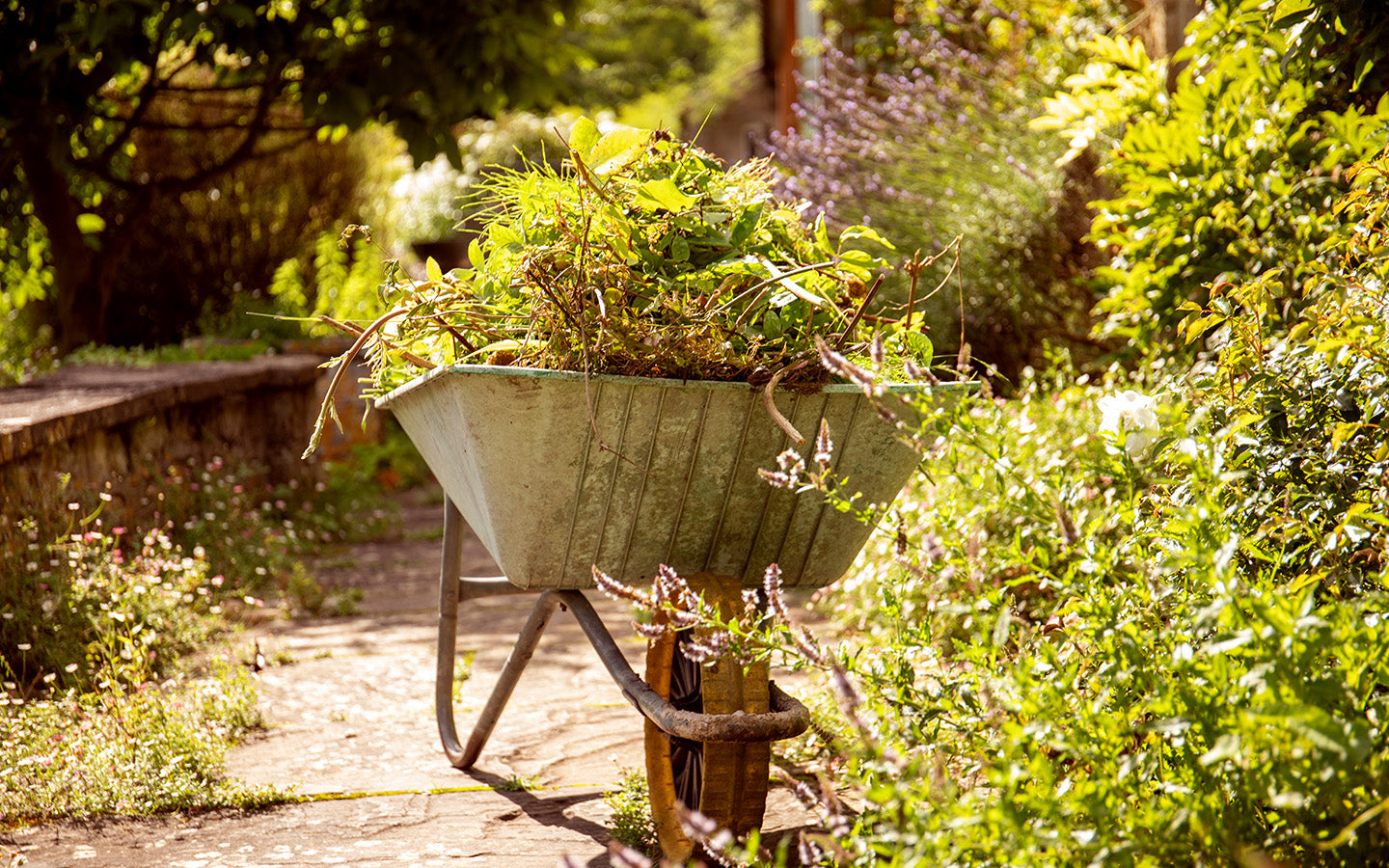 Autumn Garden Tidy