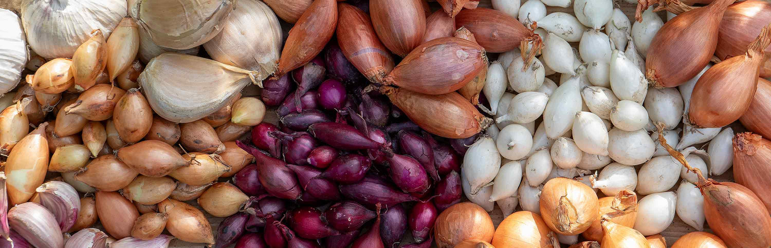 Onions, shallots & garlic