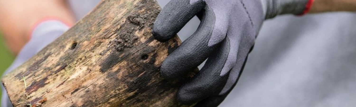 Gloves Offer