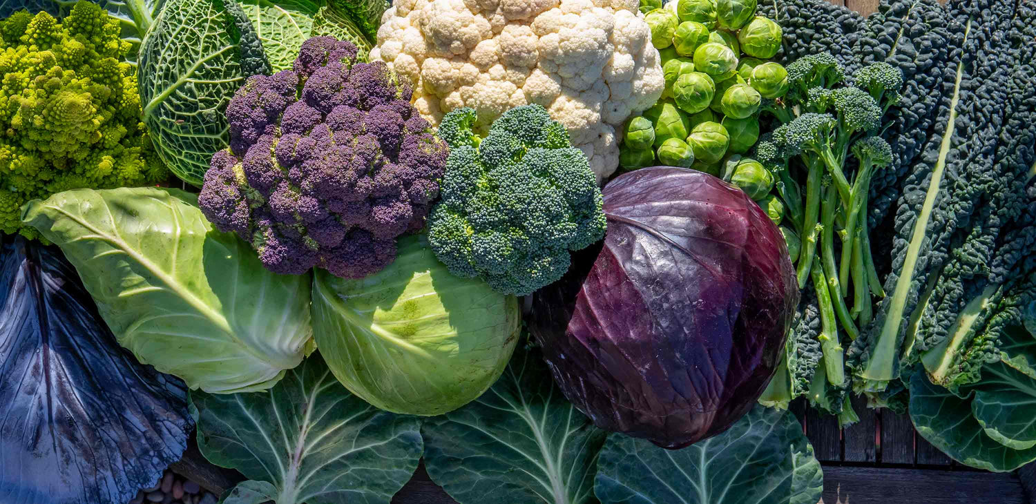 Brassica Bundles