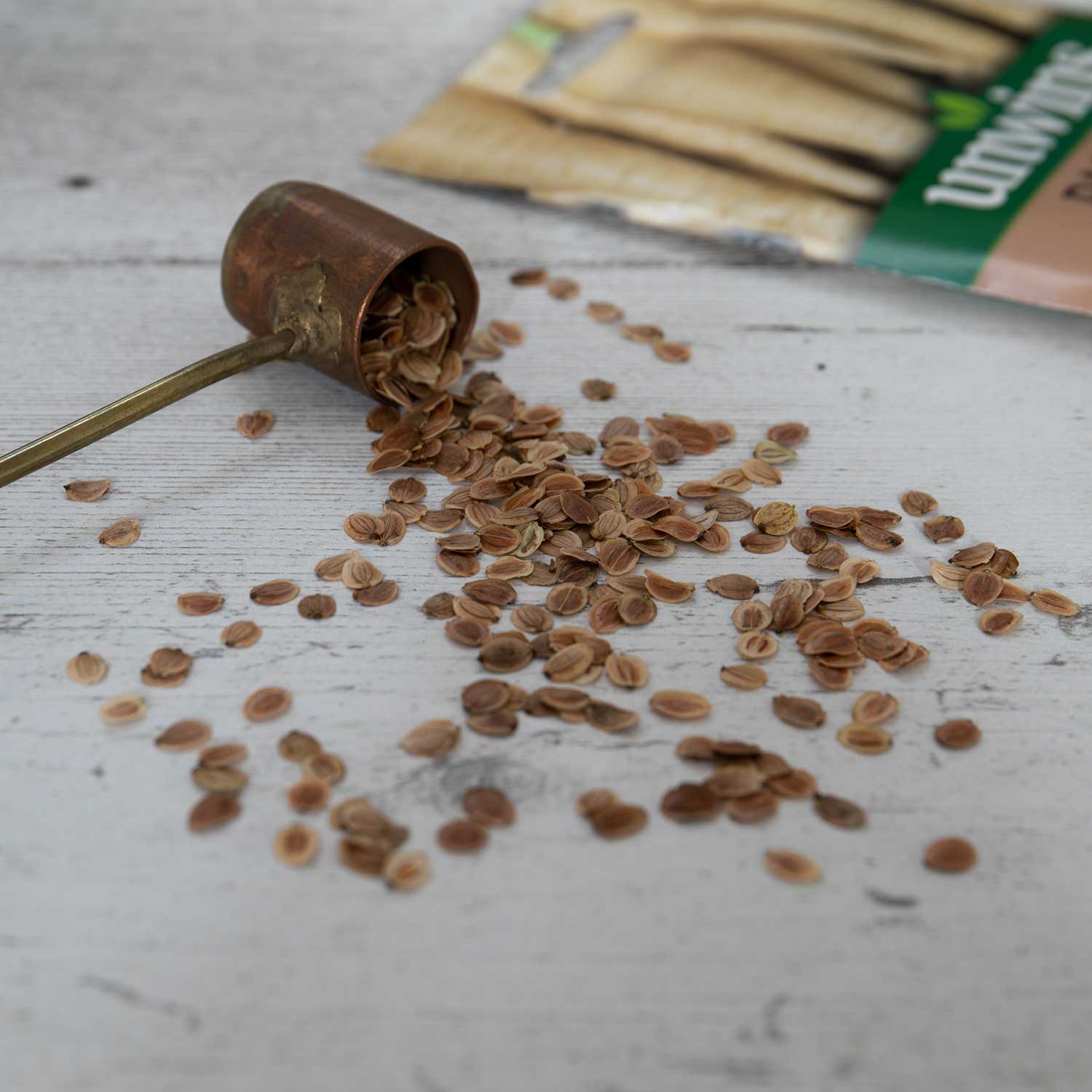 Last Chance To Plant Seeds