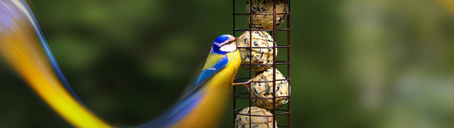 Peckish