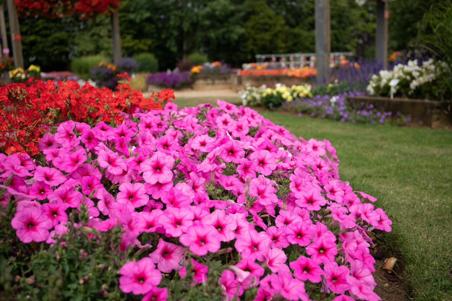 Garden Answers GAR103