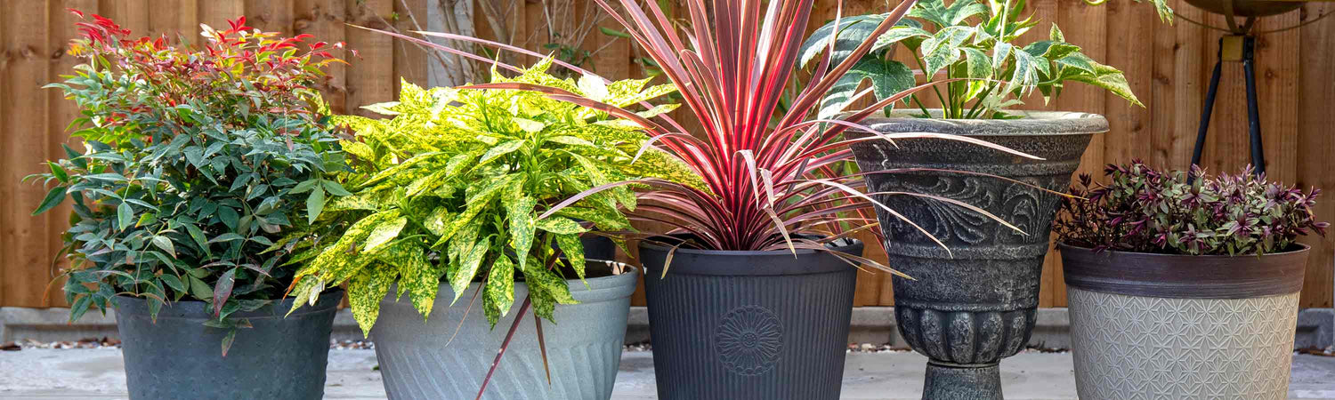 Black Friday Planters & Pots