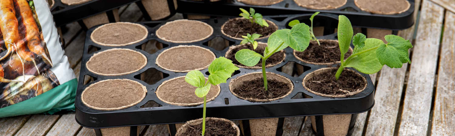 Growing On Pots