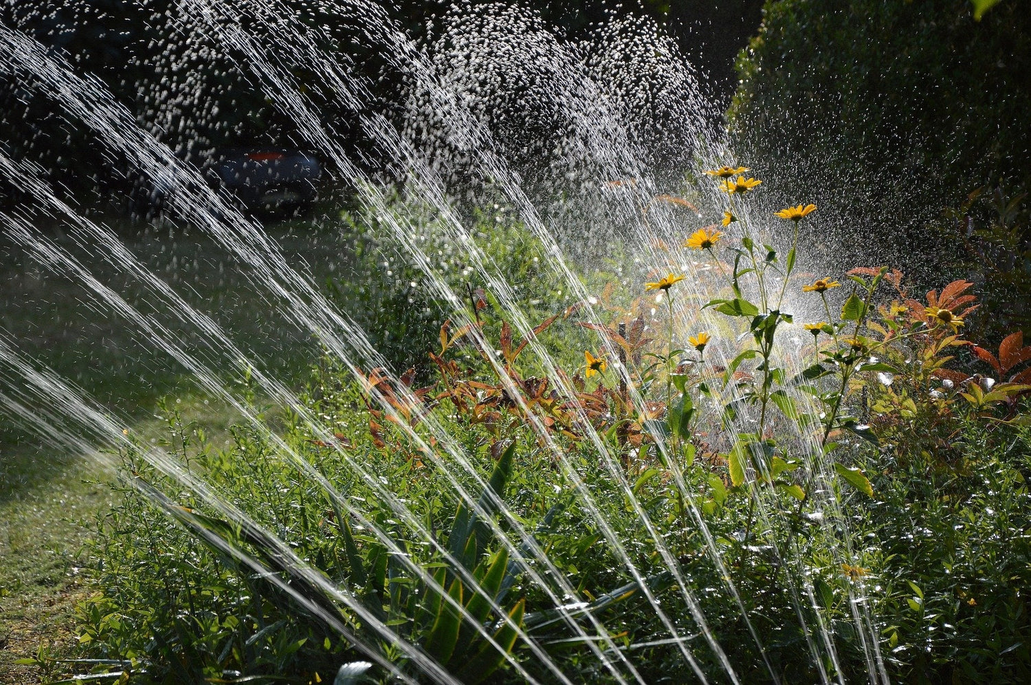 Lawn Sprinklers & Spray Guns