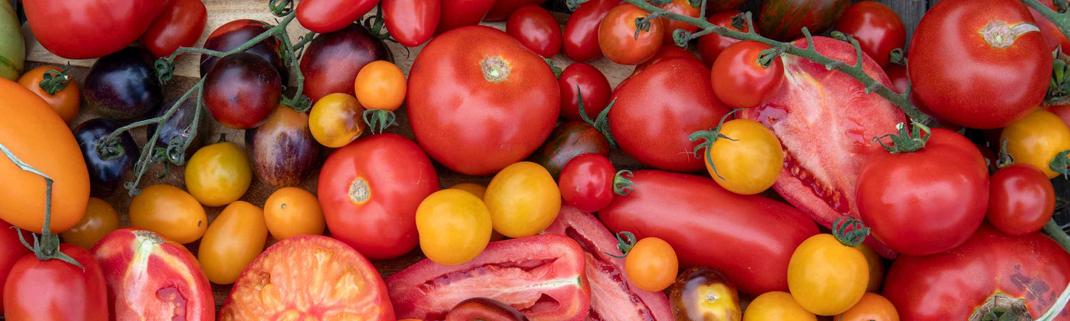 Seeds to Sow in April