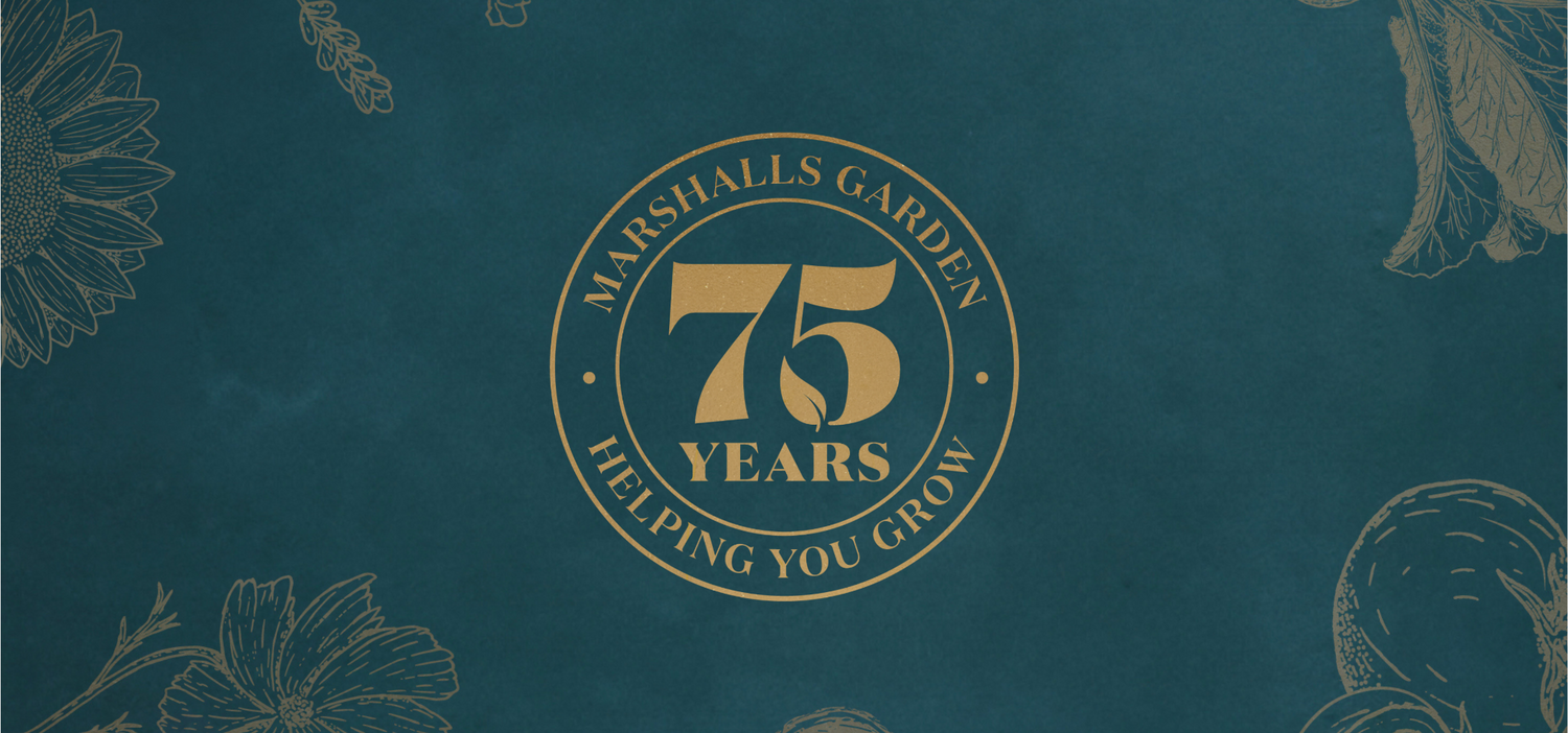 75 Years of Marshalls Garden