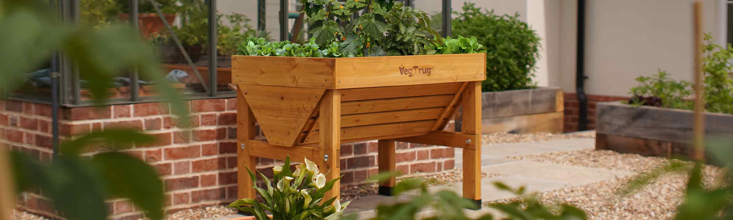 Black Friday Raised Beds