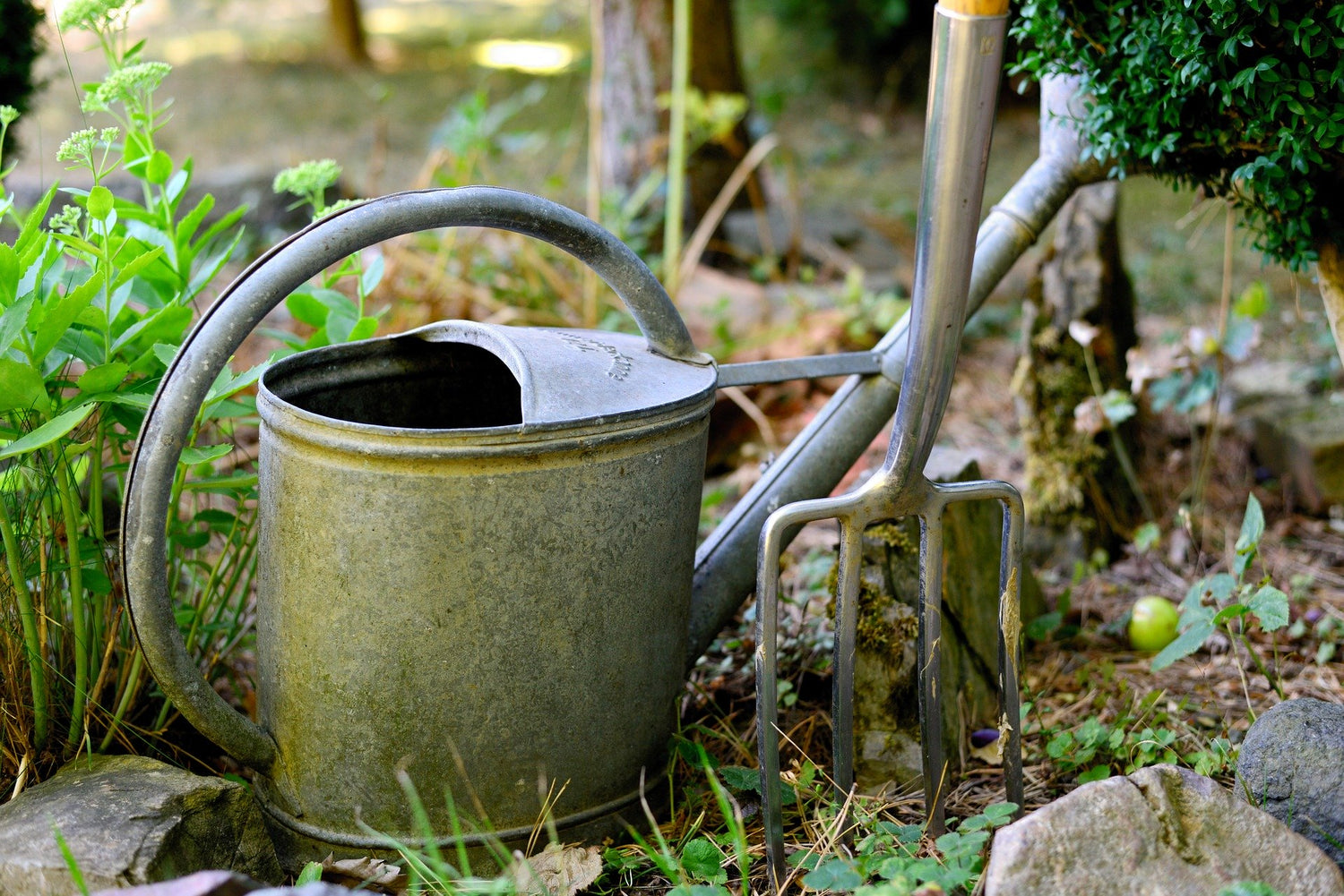 Watering Accessories