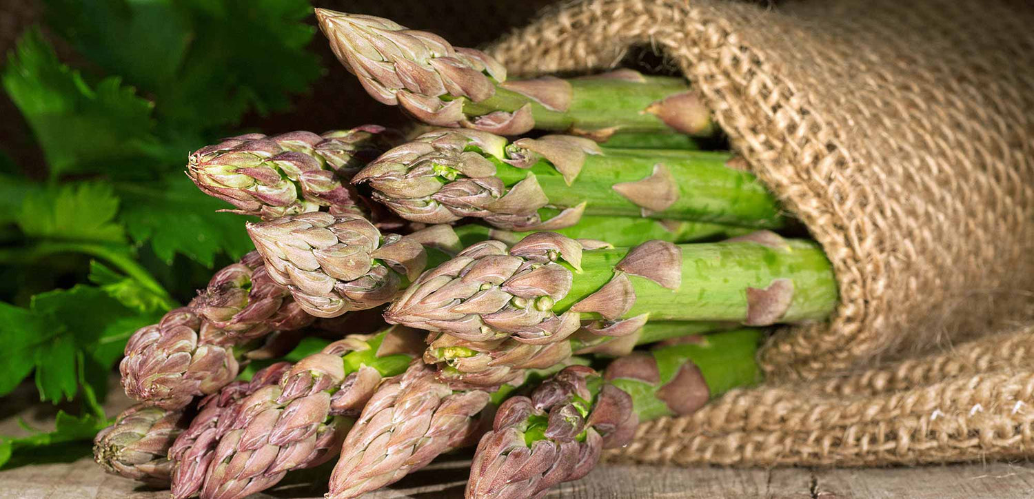 Asparagus Crowns