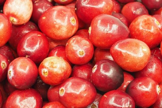 Cranberry Bushes